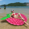 inflatable pool float