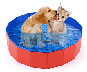Wholesale New Product High Quality Large Hard Plastic Foldable Collapsible Paddling Dog Pet Pool