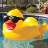 Custom Design Toys Big Duck Floats Shape PVC Made 190*170cm Size Swim Mattress Inflatable Pool Float