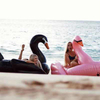 PVC/Vinyl Inflatable Swan with Wings Swan pool float Inflatable Ride-On Pool Float Summer Pool Floatie for Adults for kids